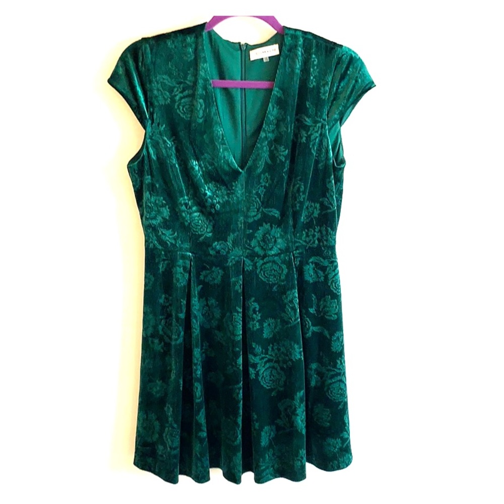 Sugar Lips Green Velvety Dress